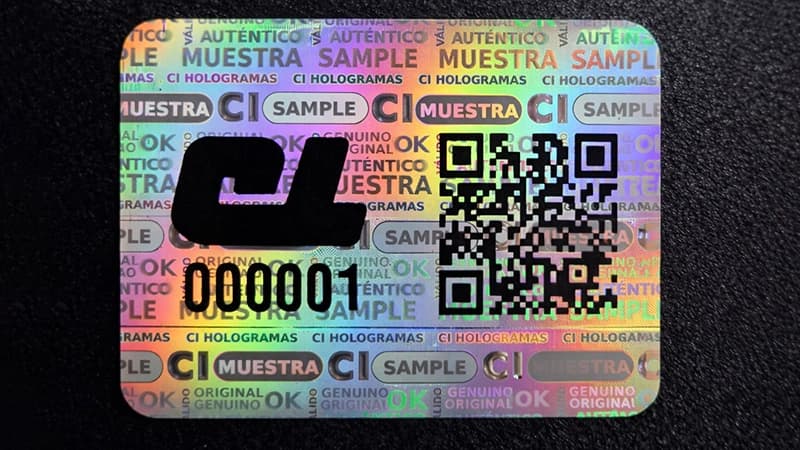 Capa de Datos y Serialización